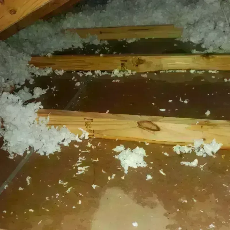 Attic Water Damage in Marionville, MO